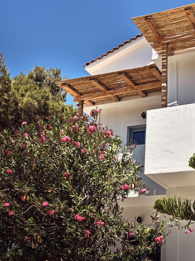 Shellona Rooms & Apartments Laganas Dış mekan fotoğraf