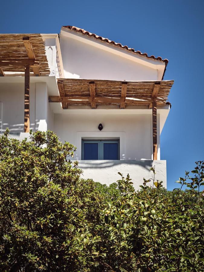 Shellona Rooms & Apartments Laganas Dış mekan fotoğraf